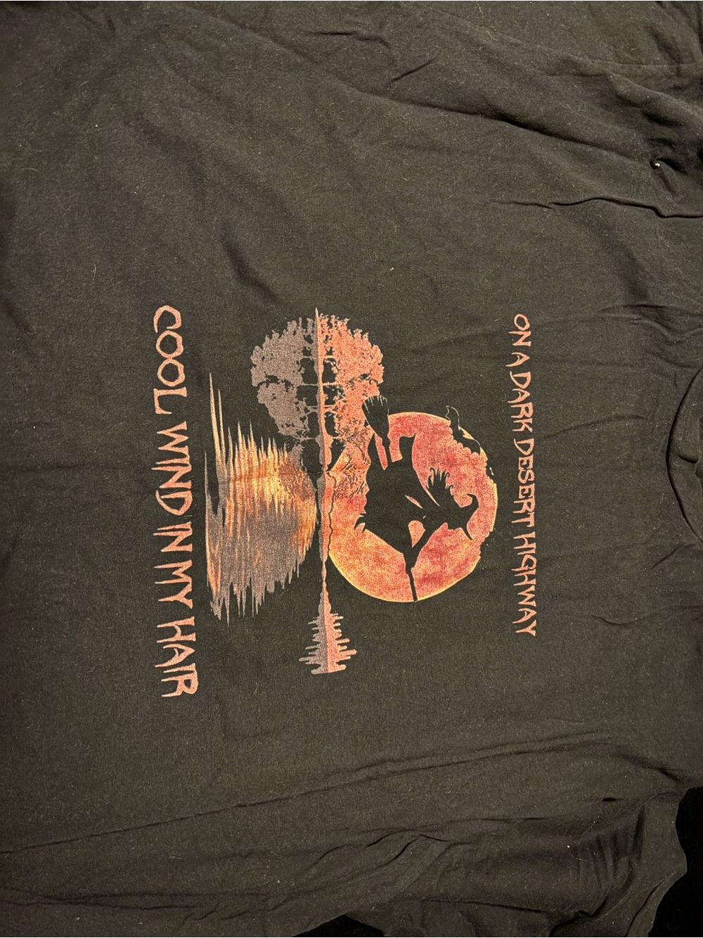 Gildan Black Tee with Orange-Red Desert Sunset Graphic